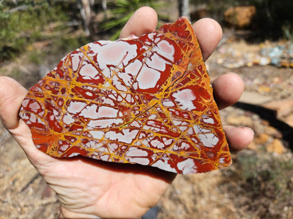 Polished Noreena Jasper slab. NJ455