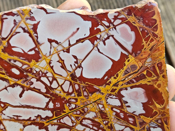 Polished Noreena Jasper slab. NJ455