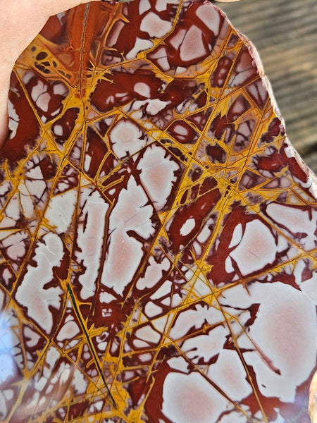 Polished Noreena Jasper slab. NJ455