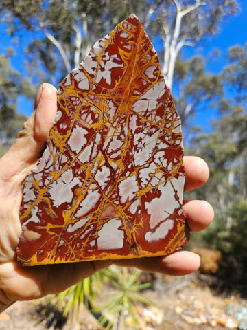 Polished Noreena Jasper slab. NJ456