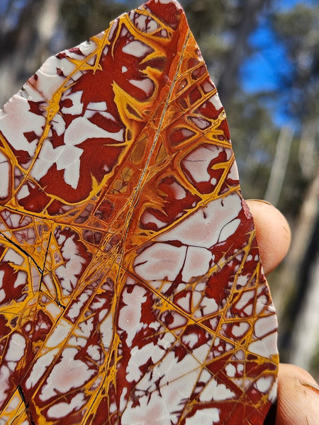 Polished Noreena Jasper slab. NJ456