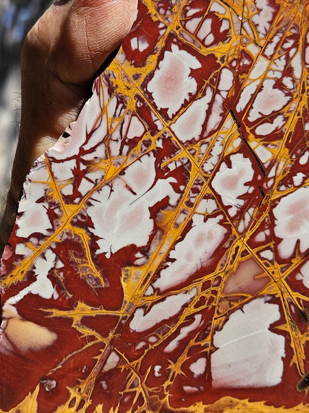 Polished Noreena Jasper slab. NJ456