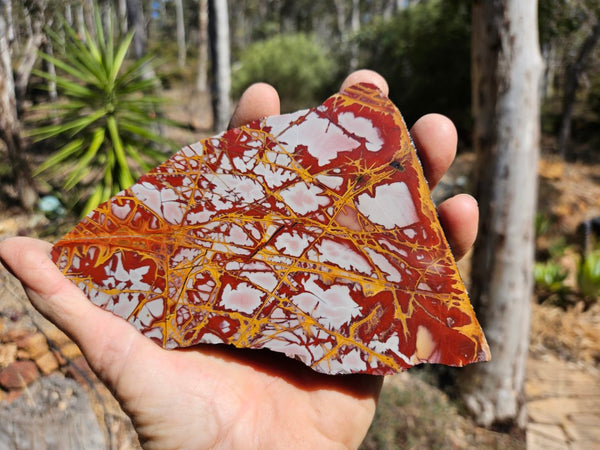 Polished Noreena Jasper slab. NJ456