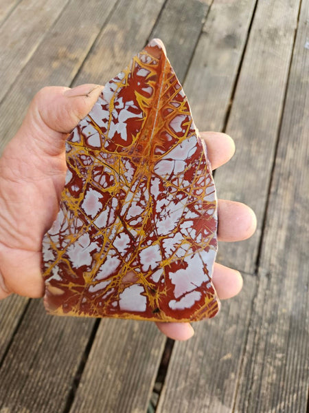 Polished Noreena Jasper slab. NJ456