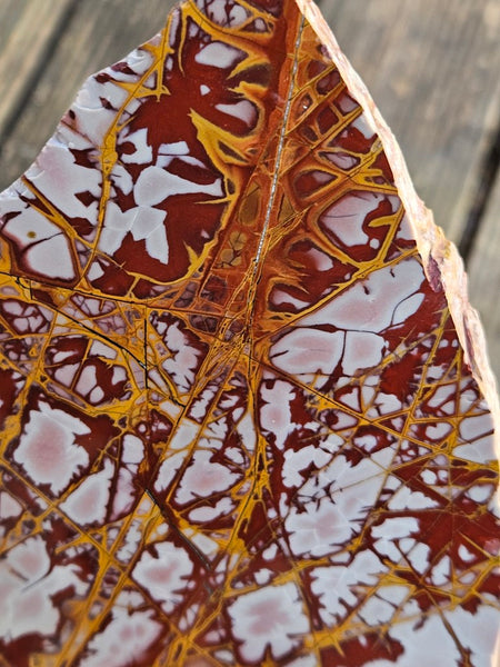 Polished Noreena Jasper slab. NJ456