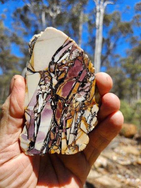 Polished Brecciated Mookaite slab BM304