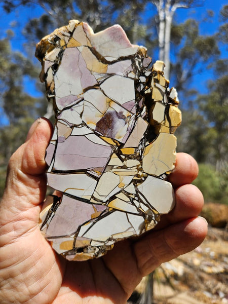 Polished Brecciated Mookaite slab BM305