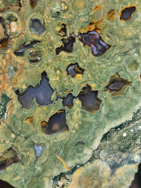 Polished Rainforest Jasper slab RFJ142