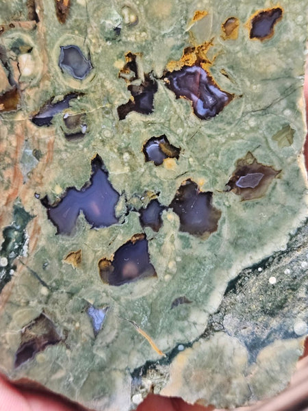 Polished Rainforest Jasper slab RFJ142