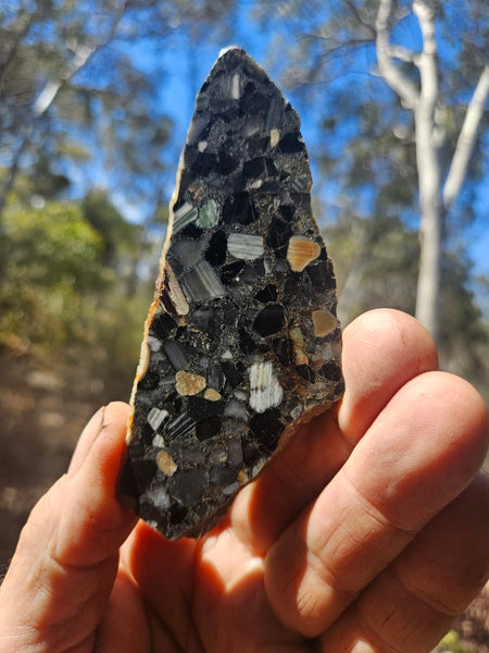 Black Jasper Conglomerate slab B221