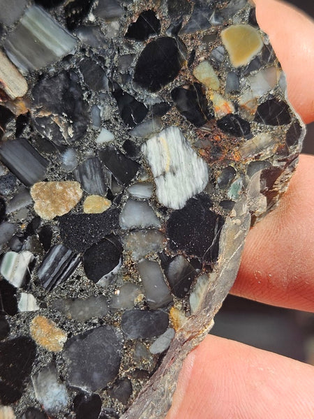 Black Jasper Conglomerate slab B221