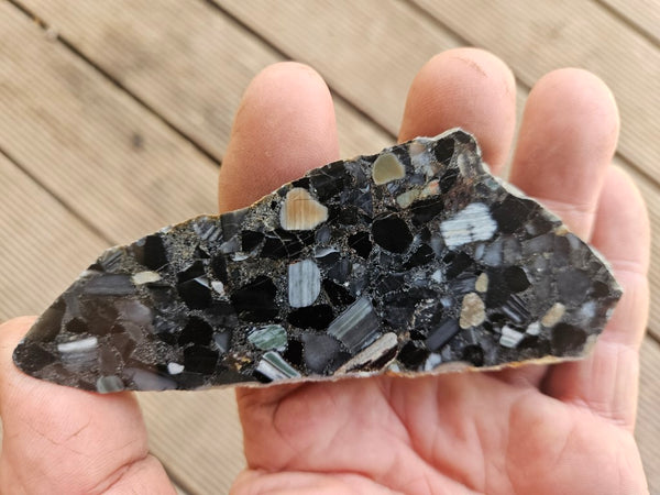 Black Jasper Conglomerate slab B221