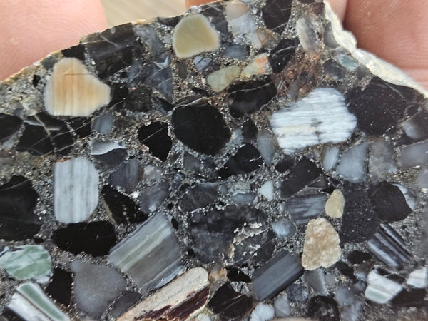 Black Jasper Conglomerate slab B221