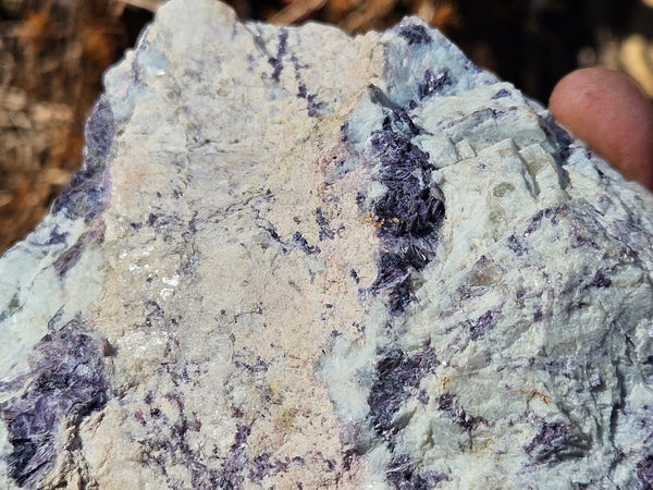 Pegmatite polished rock. PG126