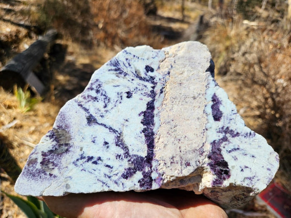 Pegmatite polished rock. PG126
