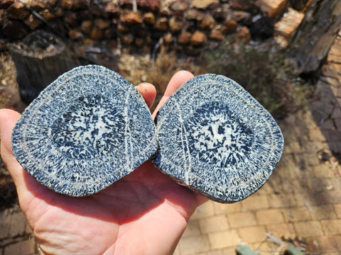 Pair of polished Orbicular Granite. OG187