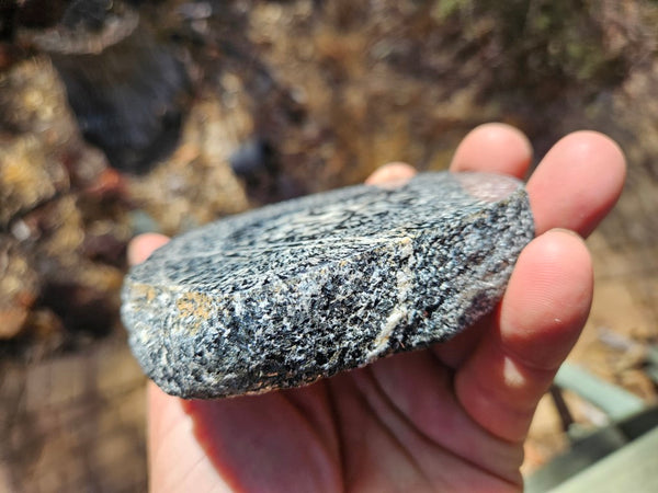 Pair of polished Orbicular Granite. OG187