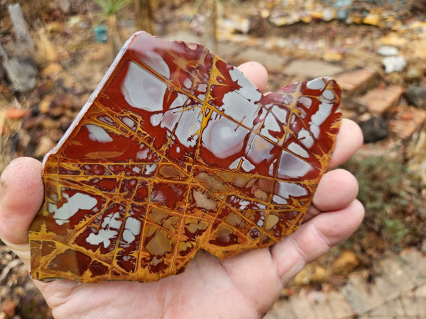 Polished Noreena Jasper slab. NJ459