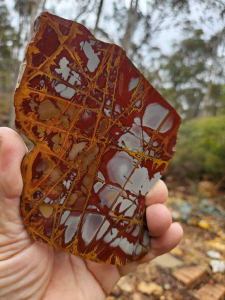 Polished Noreena Jasper slab. NJ459