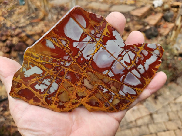 Polished Noreena Jasper slab. NJ459