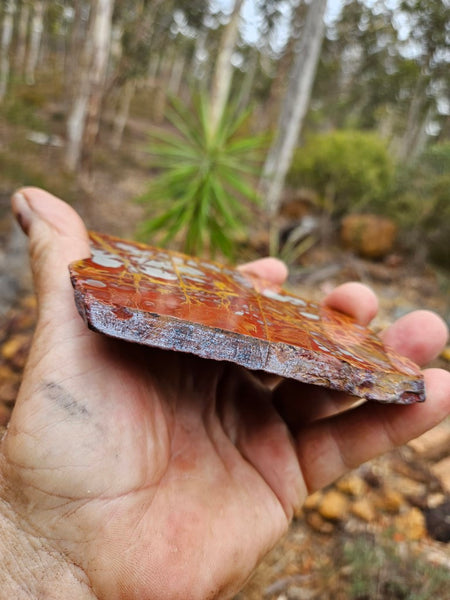 Polished Noreena Jasper slab. NJ460