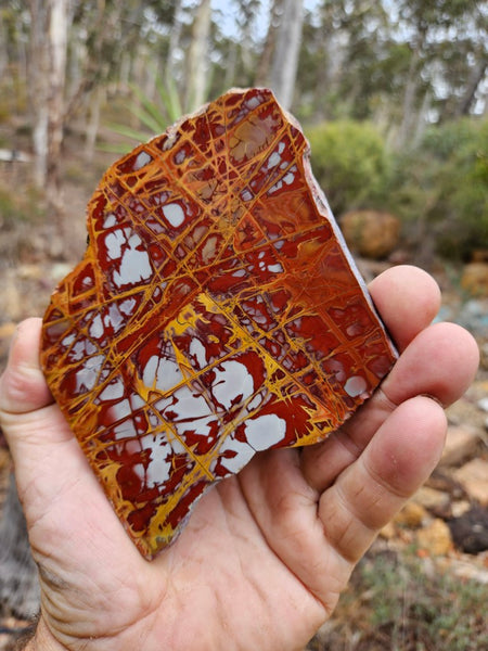 Polished Noreena Jasper slab. NJ460