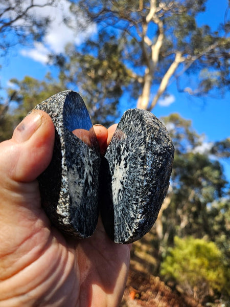 Pair of polished Orbicular Granite. OG188