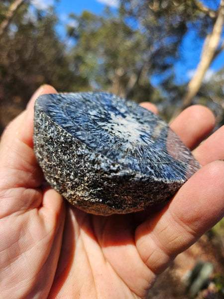 Pair of polished Orbicular Granite. OG188