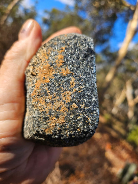 Pair of polished Orbicular Granite. OG188