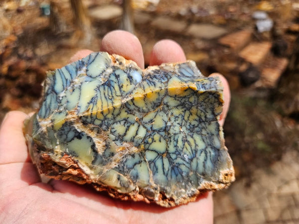 Dendritic Opal  rough.  DOR239