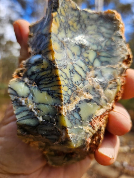 Dendritic Opal  rough.  DOR239