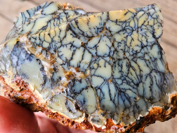 Dendritic Opal  rough.  DOR239