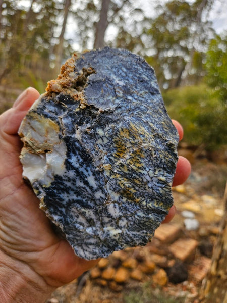 Dendritic Opal  rough.  DOR240