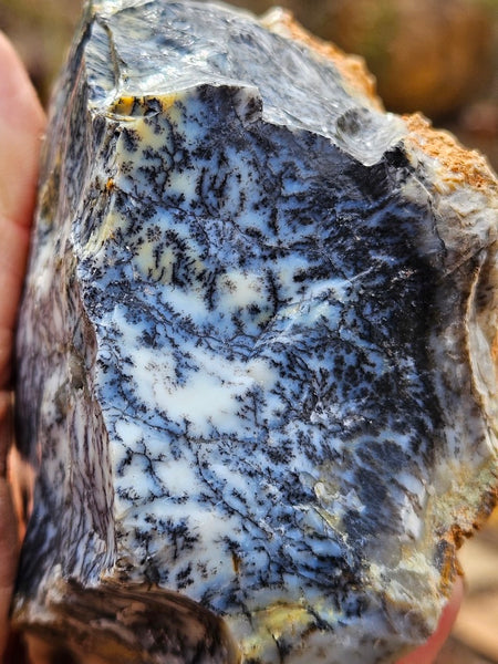 Dendritic Opal  rough.  DOR240