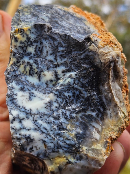 Dendritic Opal  rough.  DOR240