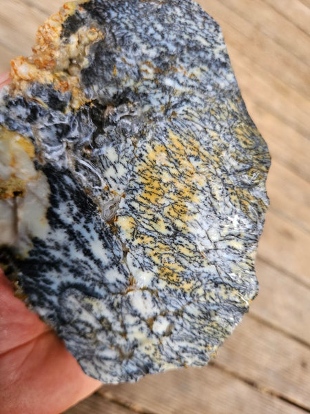 Dendritic Opal  rough.  DOR240