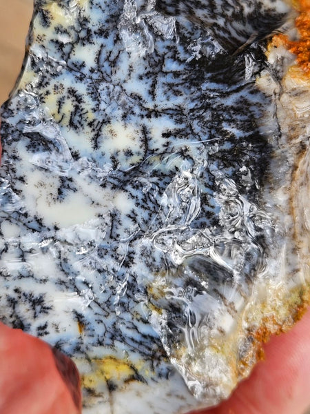 Dendritic Opal  rough.  DOR240