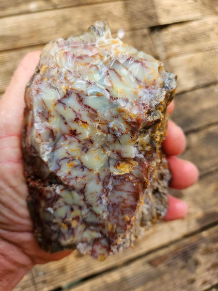 Dendritic Opal  rough.  DOR241