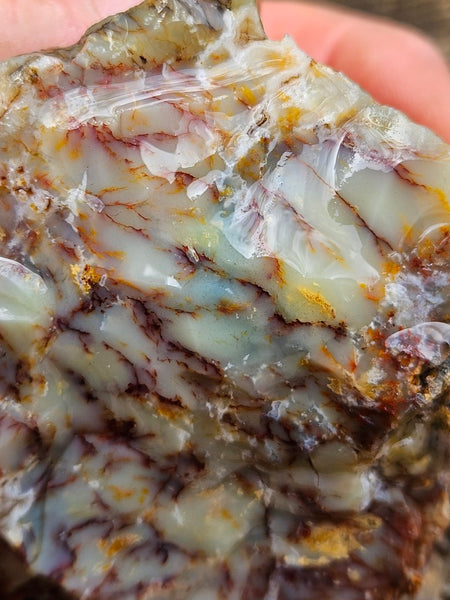 Dendritic Opal  rough.  DOR241