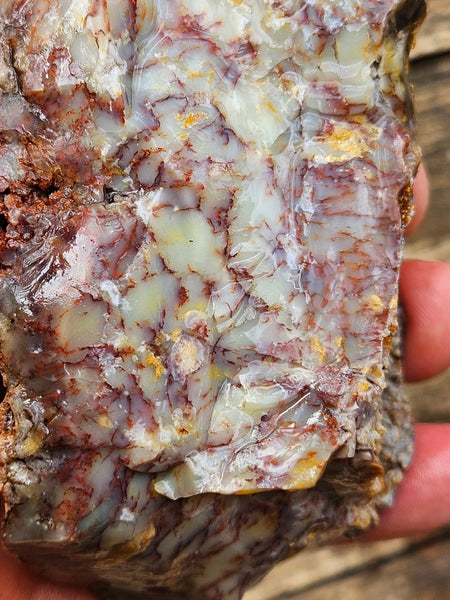 Dendritic Opal  rough.  DOR241