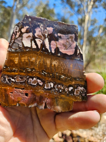 Polished Outback Jasper slab OJ175