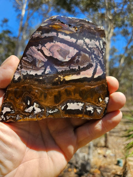 Polished Outback Jasper slab OJ176