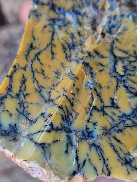 Dendritic Opal  rough.  DOR242
