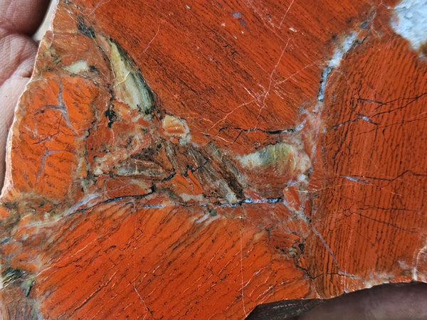 Polished Brecciated Snakeskin Jasper slab SS182