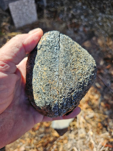 Pair of polished Orbicular Granite. OG189