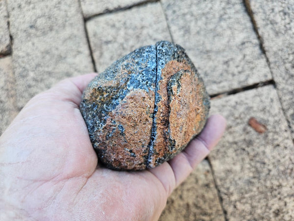 Pair of polished Orbicular Granite. OG189