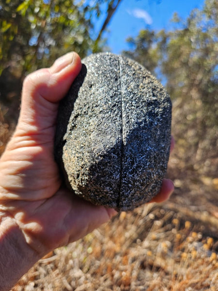 Pair of polished Orbicular Granite. OG190