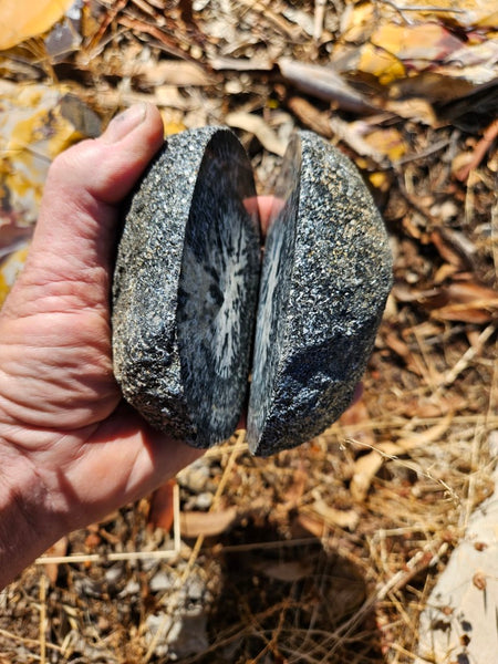 Pair of polished Orbicular Granite. OG190