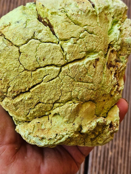 Polished Lime Magnesite specimen. MAP191
