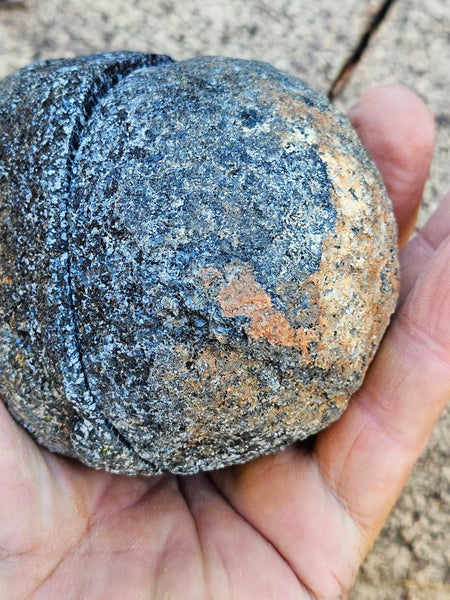 Pair of polished Orbicular Granite. OG191